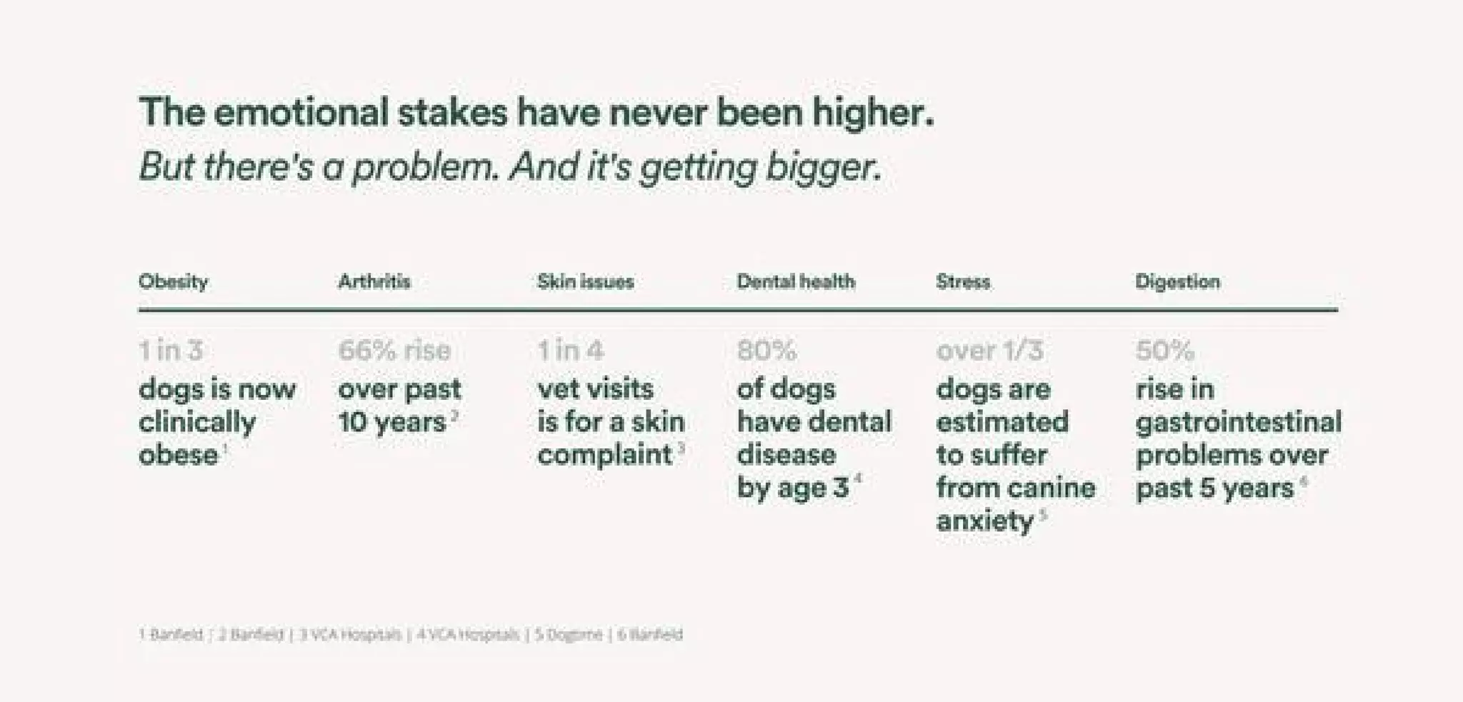 Front Of The Pack pitch deck slide 3