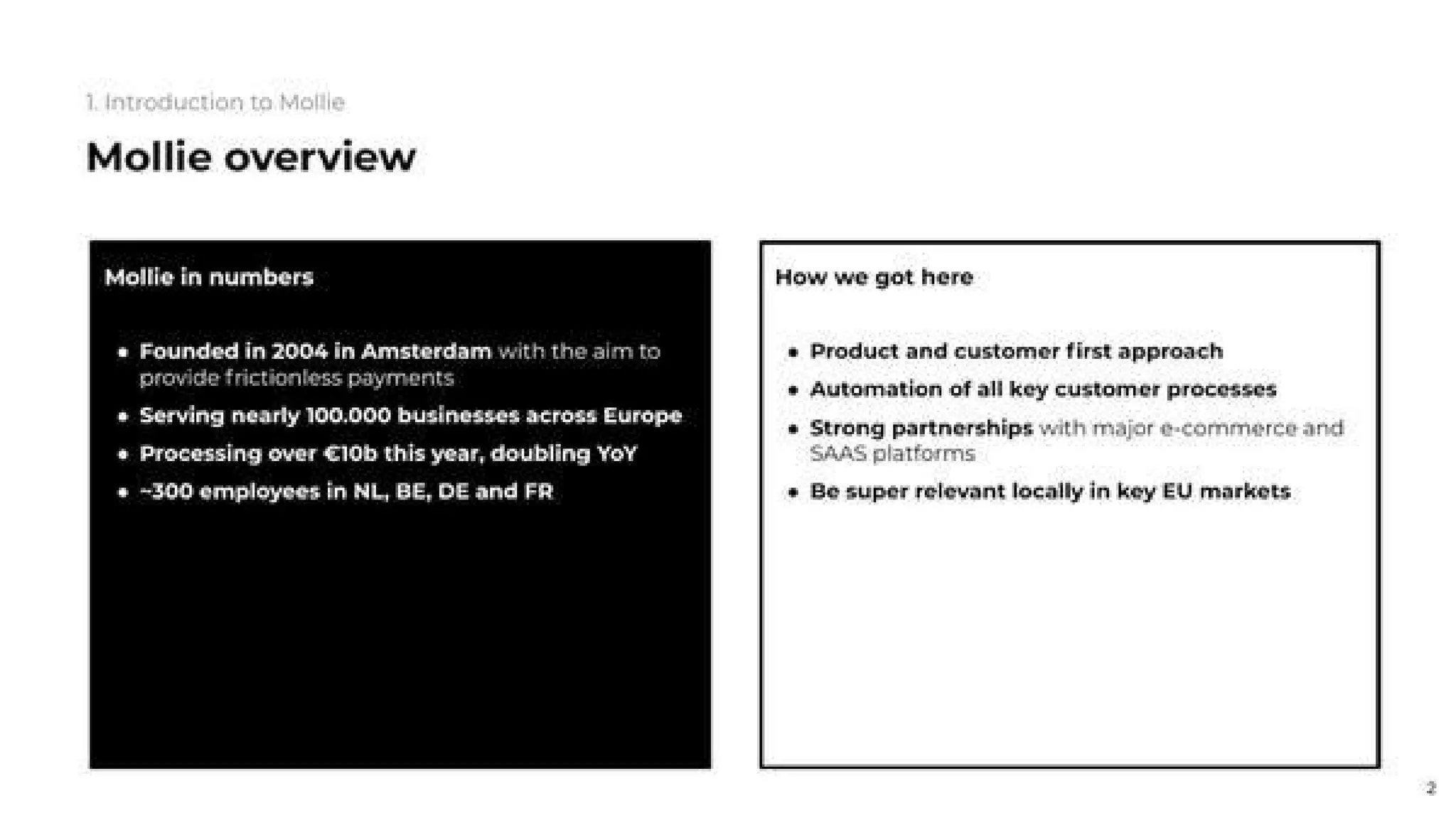 Mollie pitch deck slide 2