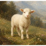 Lamb Labs