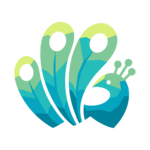 Pavoot