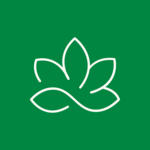 Saatvy
