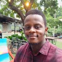 Festus Owumi