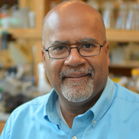 Paul Turner